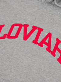 UNIVERSITY HOODIE | HEATHER GREY