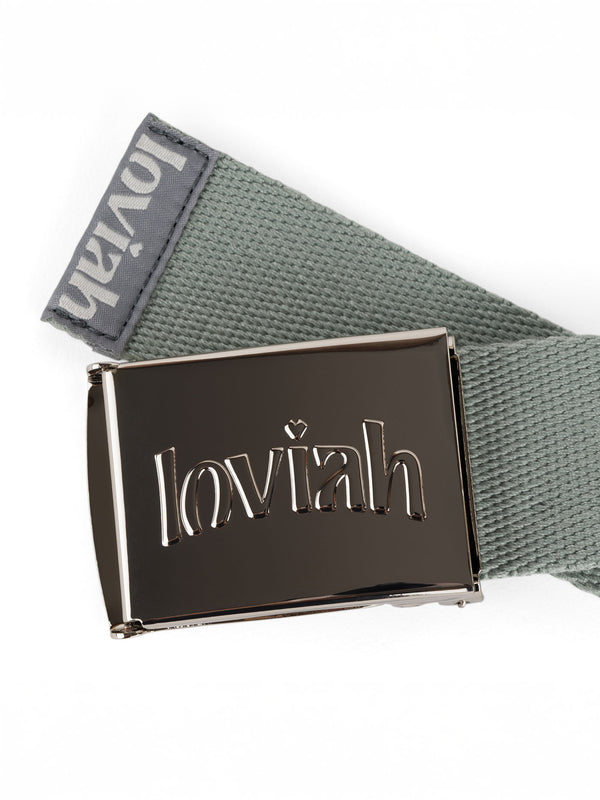 CHROME WEBBING BELT | STEEL
