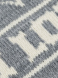 HELL-V BEANIE | HEATHER GREY