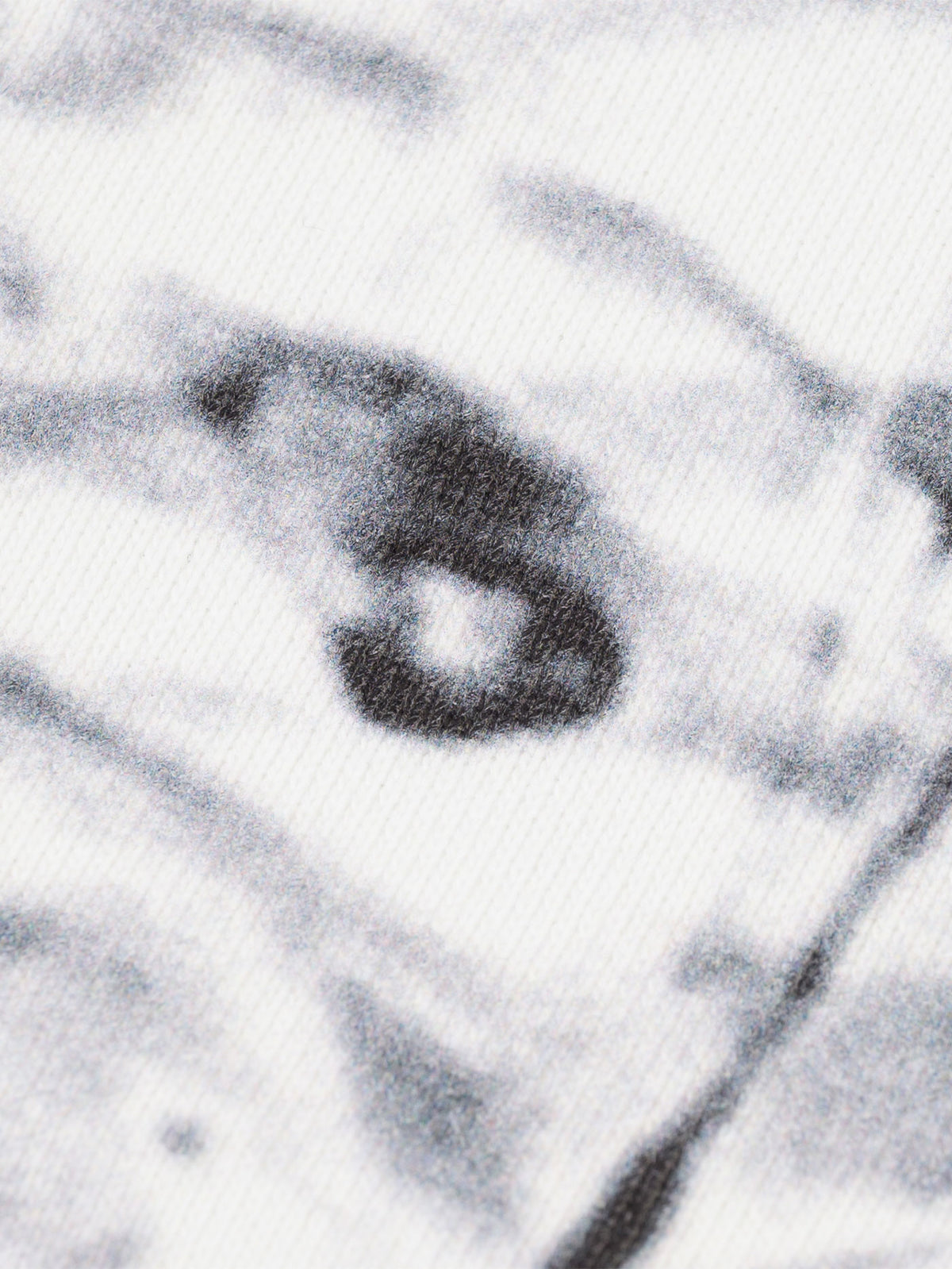 WALLRIDE CREWNECK | WALL